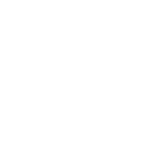 Roof Certification Icon (1) Roof Certification Icon 1