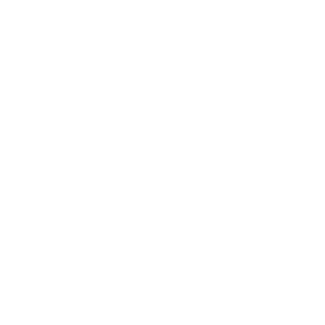 Roof Insurance Claim Icon Roof Insurance Claim Icon