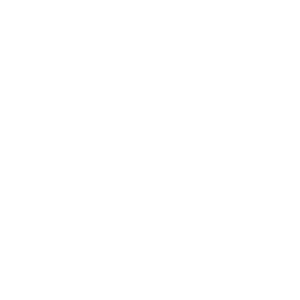 Roof Replacement Icon Roof Replacement Icon
