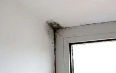 Learning Center 53 The Dangers of Waiting on a Roof Leak