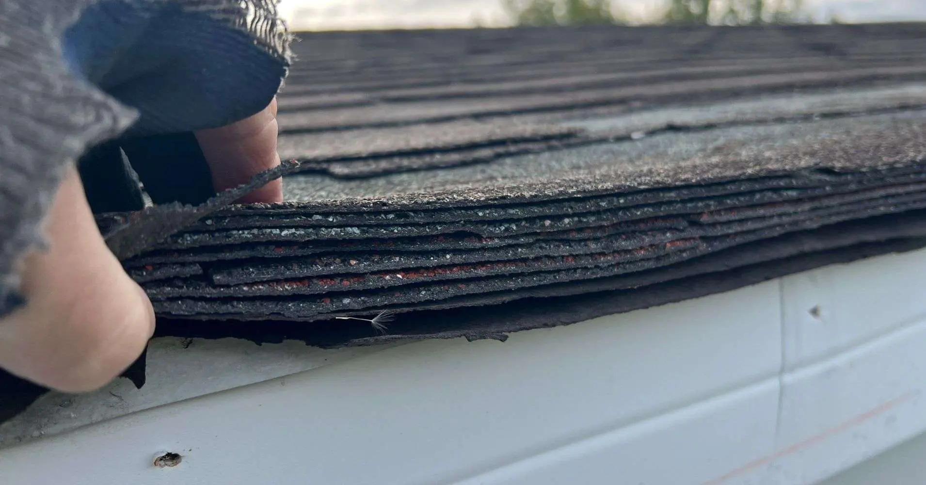 Bad Roofer - Insurance Claim Bad Roofer - Insurance Claim