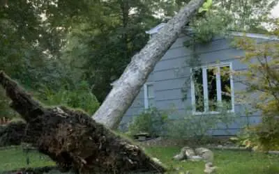 Learning Center 46 Tornado Damage – How Skilled Roofers Facilitate an Insurance Claim