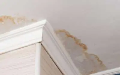 Learning Center 42 Guide to Drywall Repair and Painting After a Roof Leak: Handling Damage and Insurance
