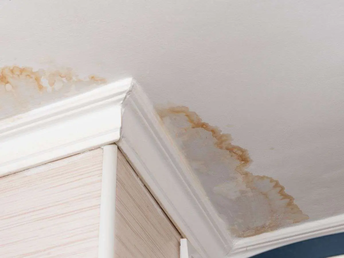 Drywall Repair and Painting - Damage Assesment Drywall Repair and Painting - Damage Assesment