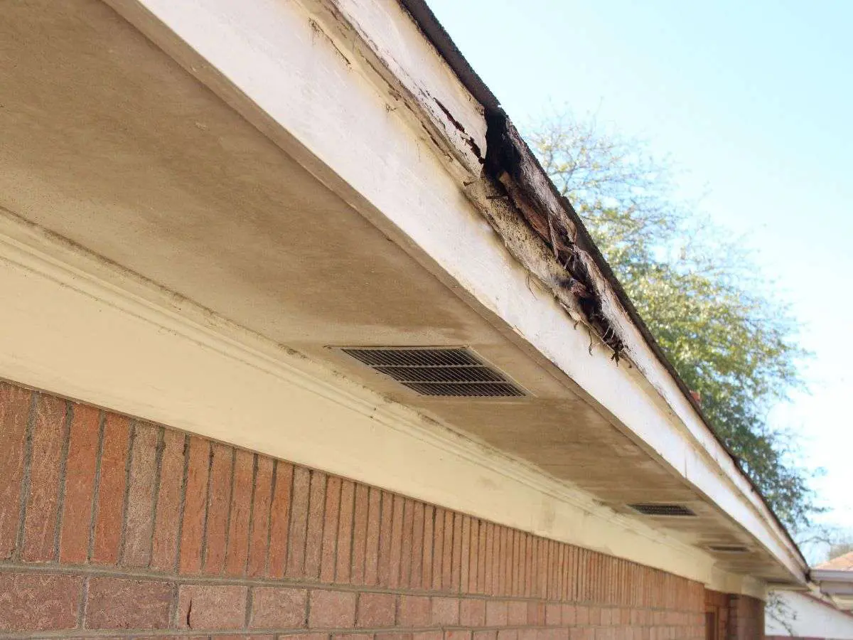 Wood Eave Repair Wood Eave Repair