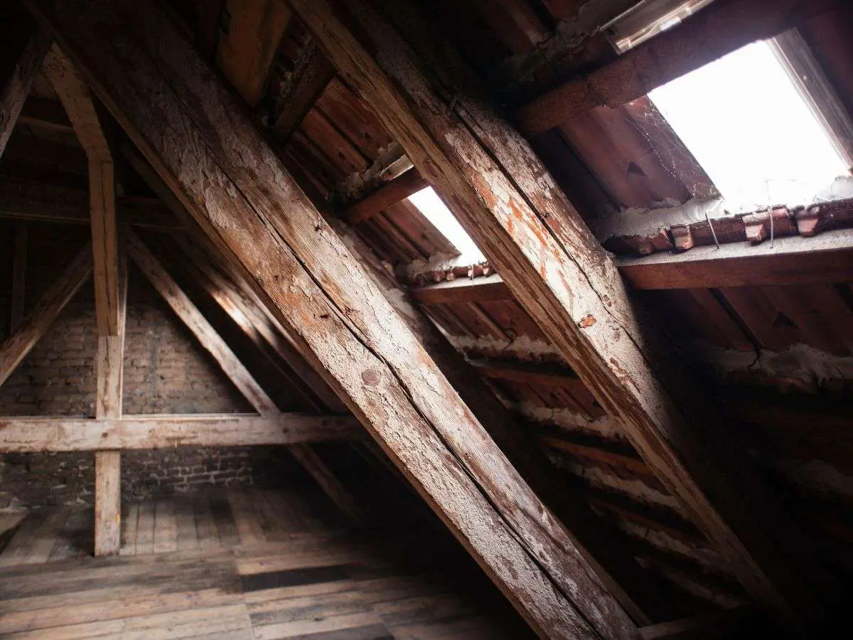 Roof Leak Repair - Water in Your Attic Roof Leak Repair Water in Your Attic