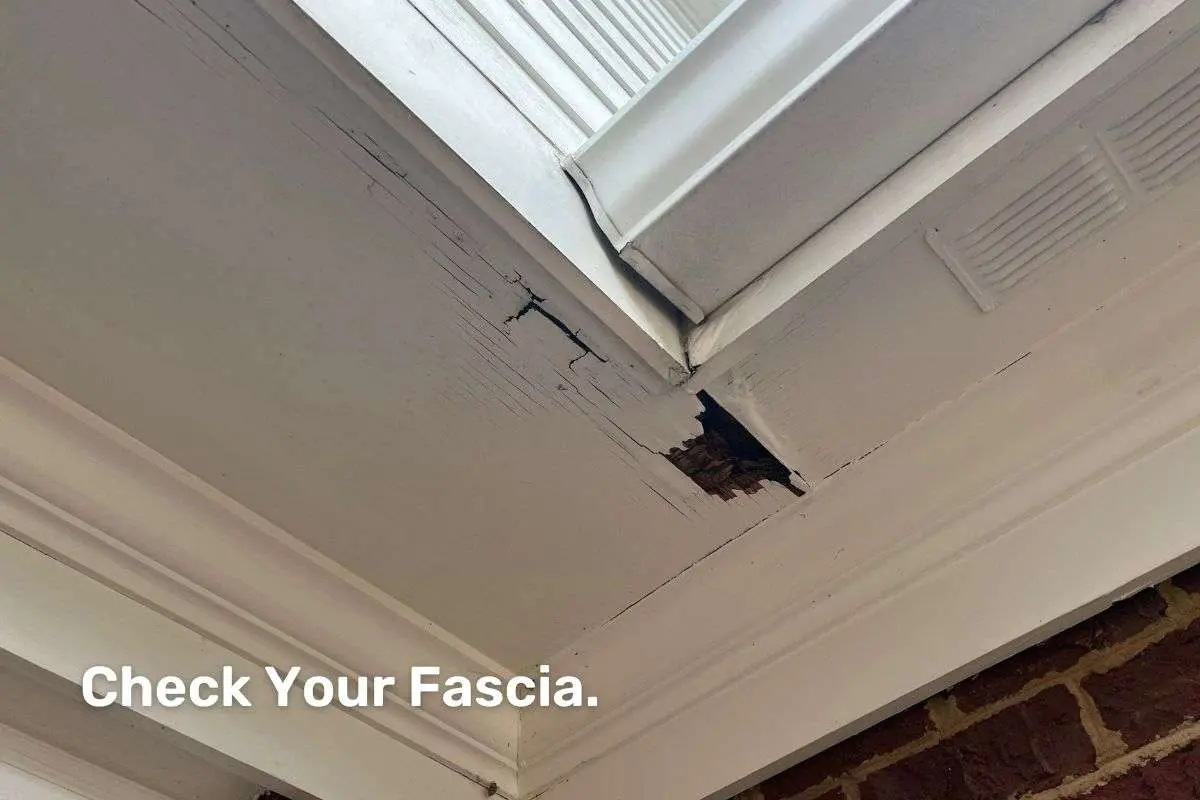 Roof Maintenance Checklist - Check Your Fascia Roof Maintenance Checklist - Check Your Fascia