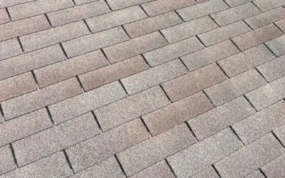 Learning Center 20 3-Tab vs. Architectural Shingles – A Homeowner’s Guide to Choosing the Right Roof