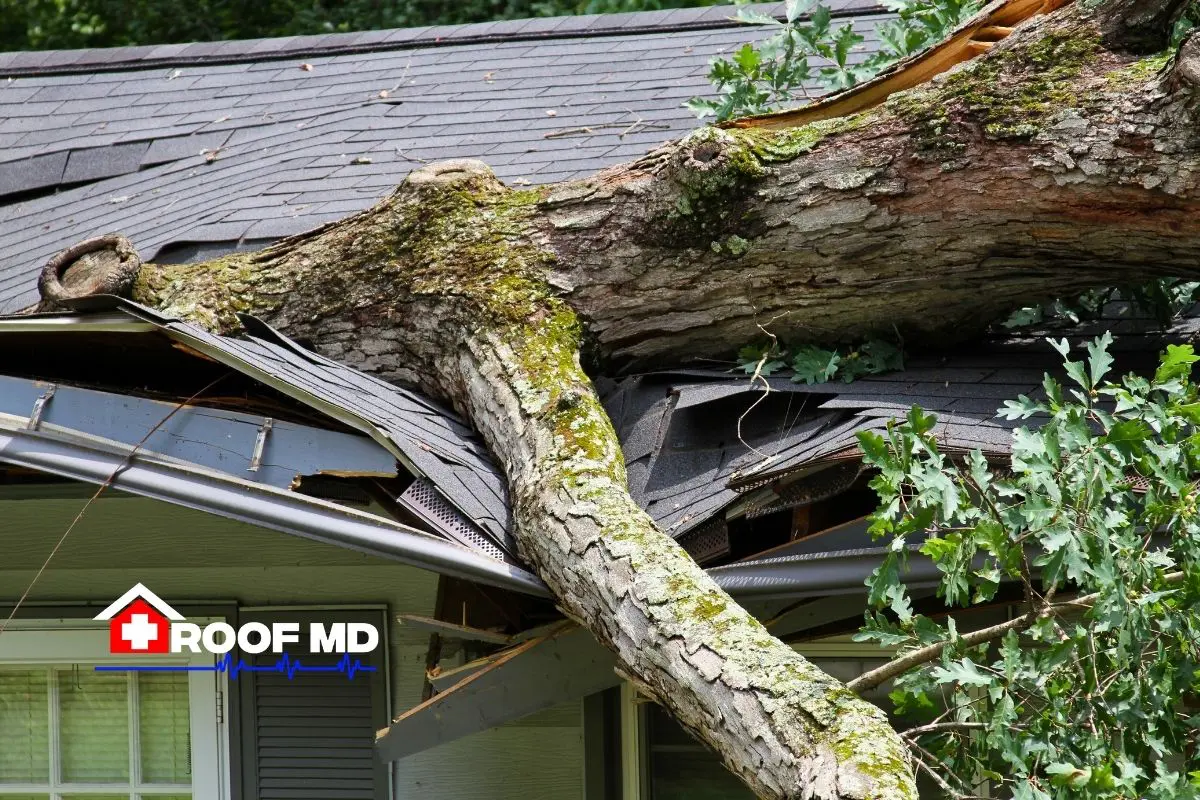 ACV Insurance Policy and Storm Damage ACV Insurance Policy and Storm Damage