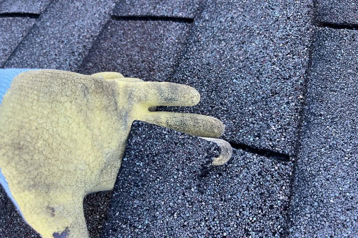 Asphalt Shingle Lifespan - Blistering Asphalt Shingle Lifespan - Blistering