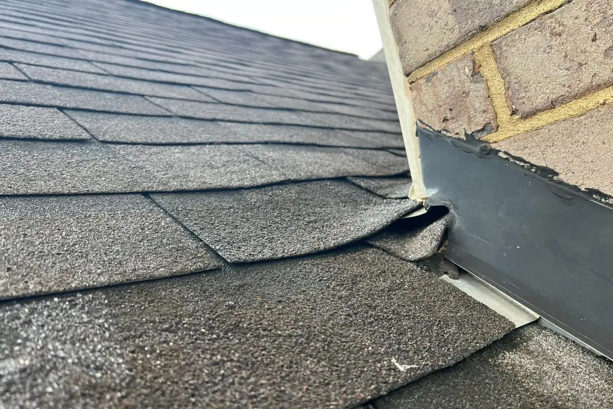 Chimney Leak and Water Intrusion (2) Chimney Leak and Water Intrusion (2)