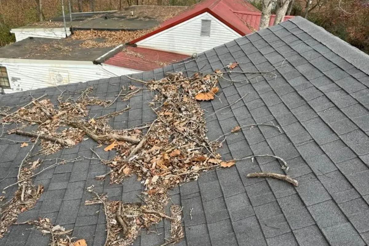 Roof Maintenance Plan - Roof Cleanup Roof Maintenance Plan - Roof Cleanup