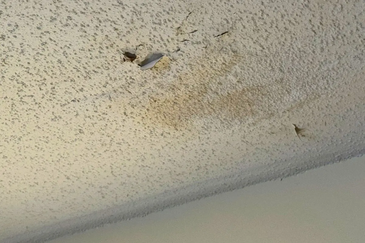 Ignoring Roof Maintenance - Interior Water Damage Ignoring Roof Maintenance - Interior Water Damage