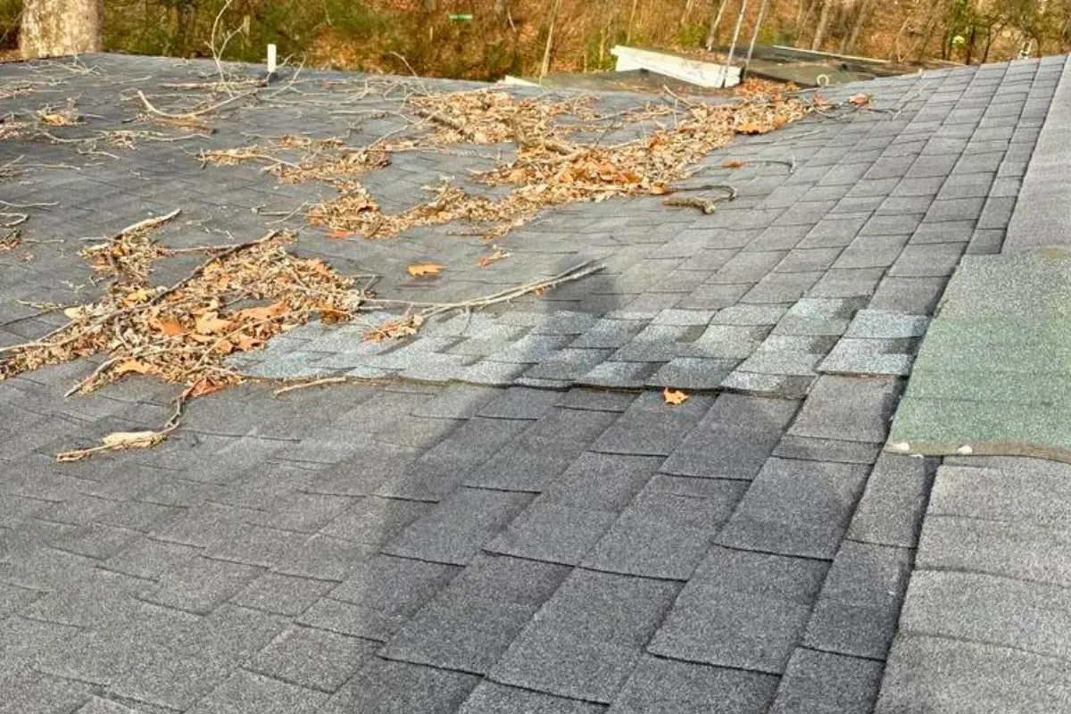 Ignoring Roof Maintenance Ignoring Roof Maintenance