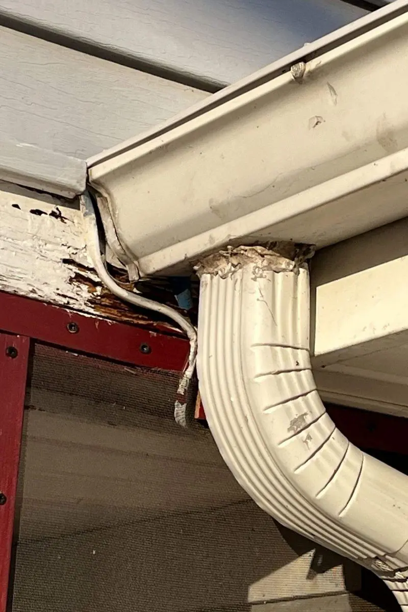Rain Gutter Replacement (1) Rain Gutter Replacement (1)