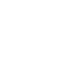Roof Insurance Claim Icon