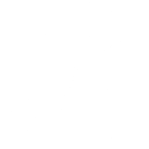 Roof Repair Icon