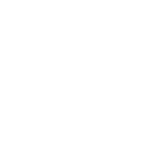 Roof Replacement Icon 1