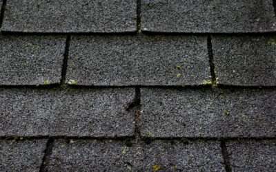 The Brittle Test: the Key to Replacing Your Roof via Insurance