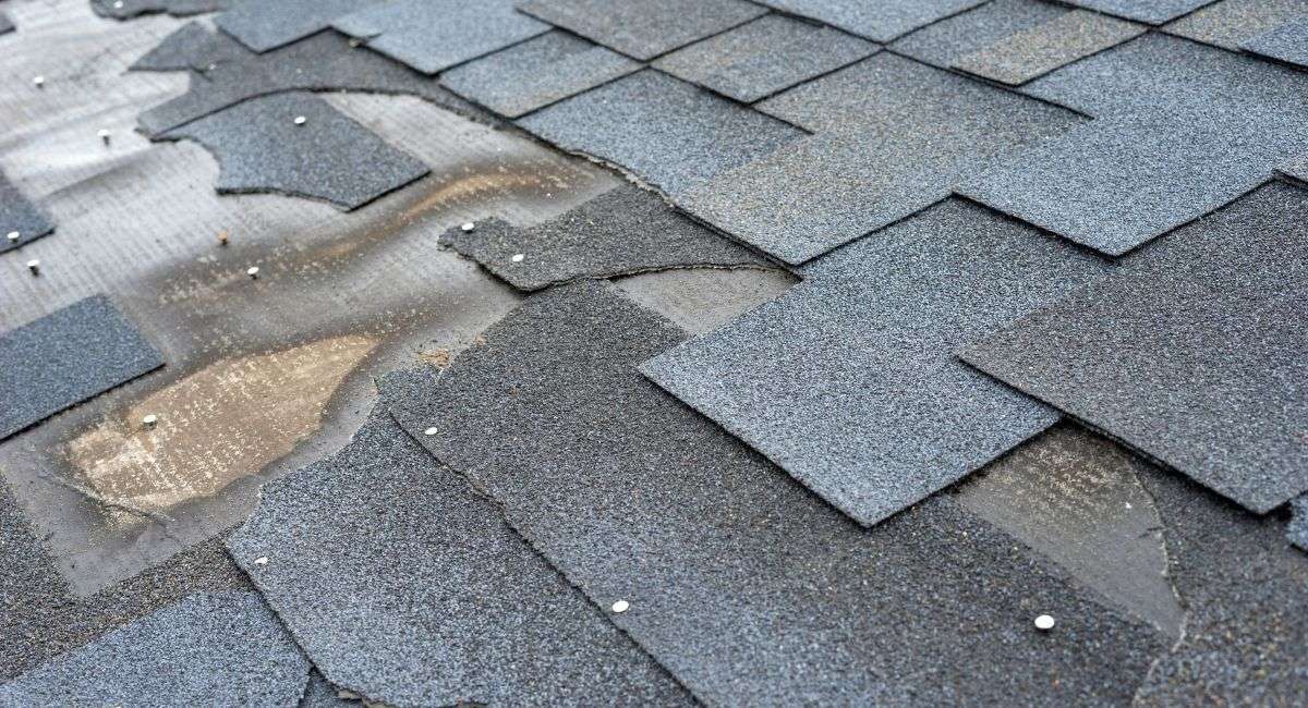 5 Most Common Causes of Roof Leaks - Damaged Shingles