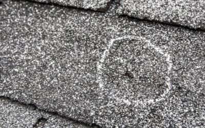 What Causes Damage to Asphalt Shingle Roofs?