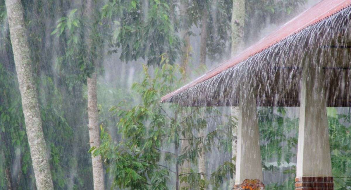 Storm Roof Inspection