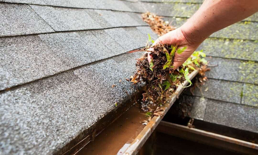 The 5 Most Overlooked Elements of Your Roof