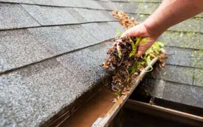 The 5 Most Overlooked Elements of Your Roof