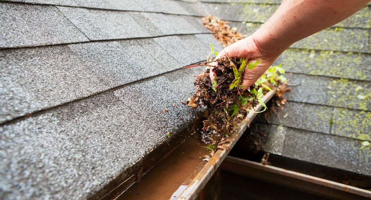 Overlooked Elements on Your Roof - Gutters