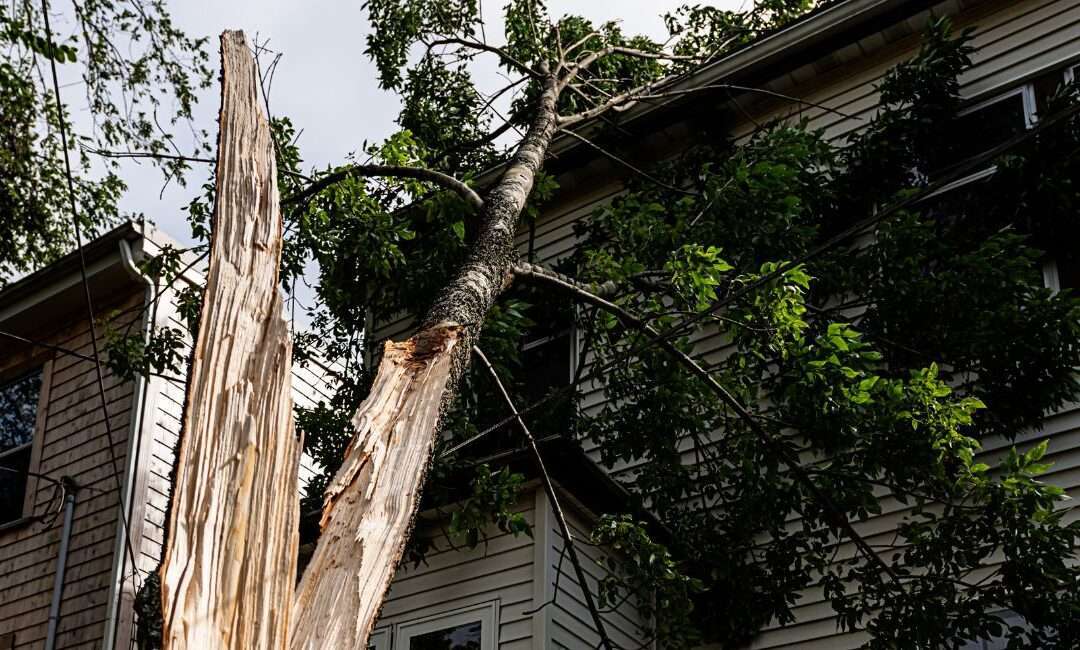 The Complete Roof Insurance Claim Process