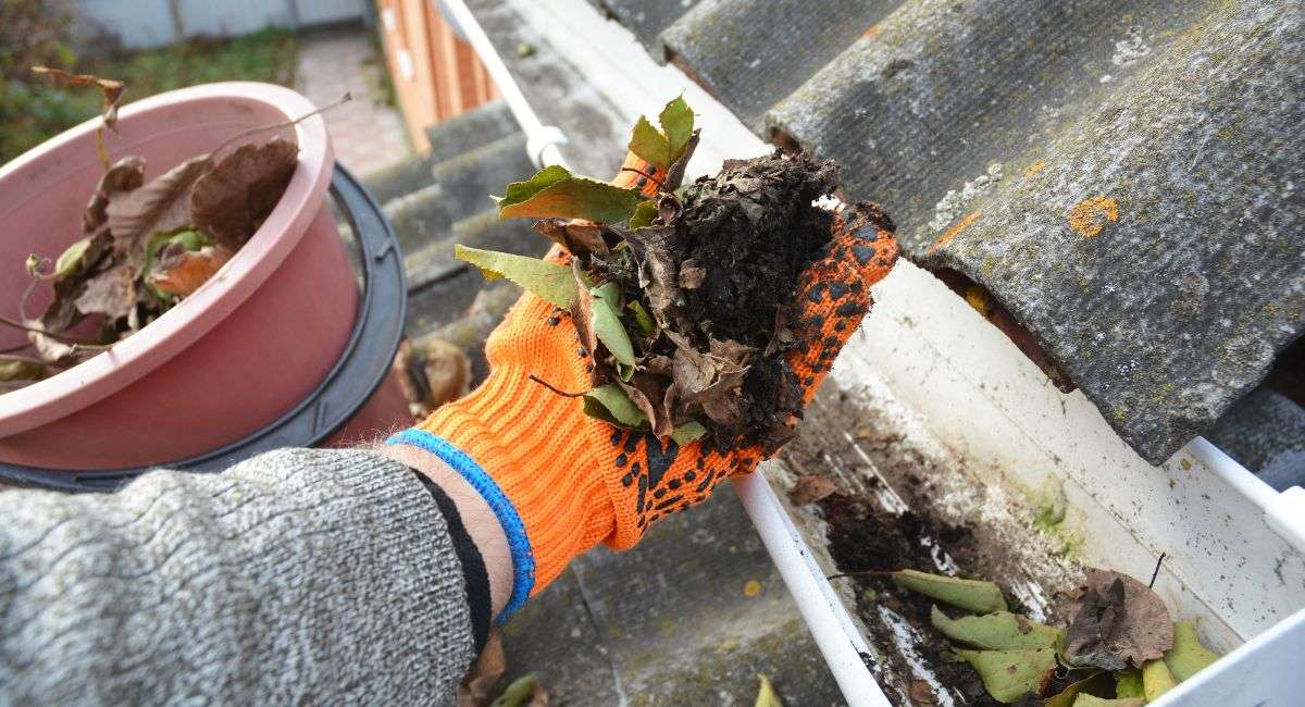 Roof Maintenance - Gutter Cleaning