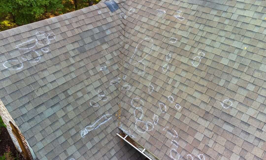 Roof Wind Damage 101: Everything You Need to Know