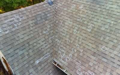 Roof Wind Damage 101: Everything You Need to Know