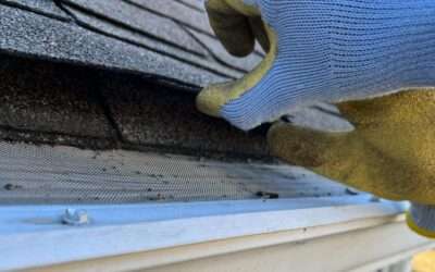 Roof Inspection 101