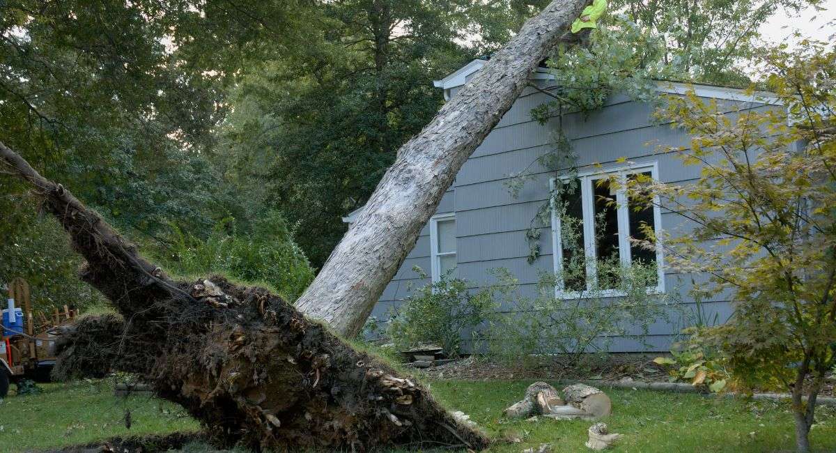 Tornado Damage