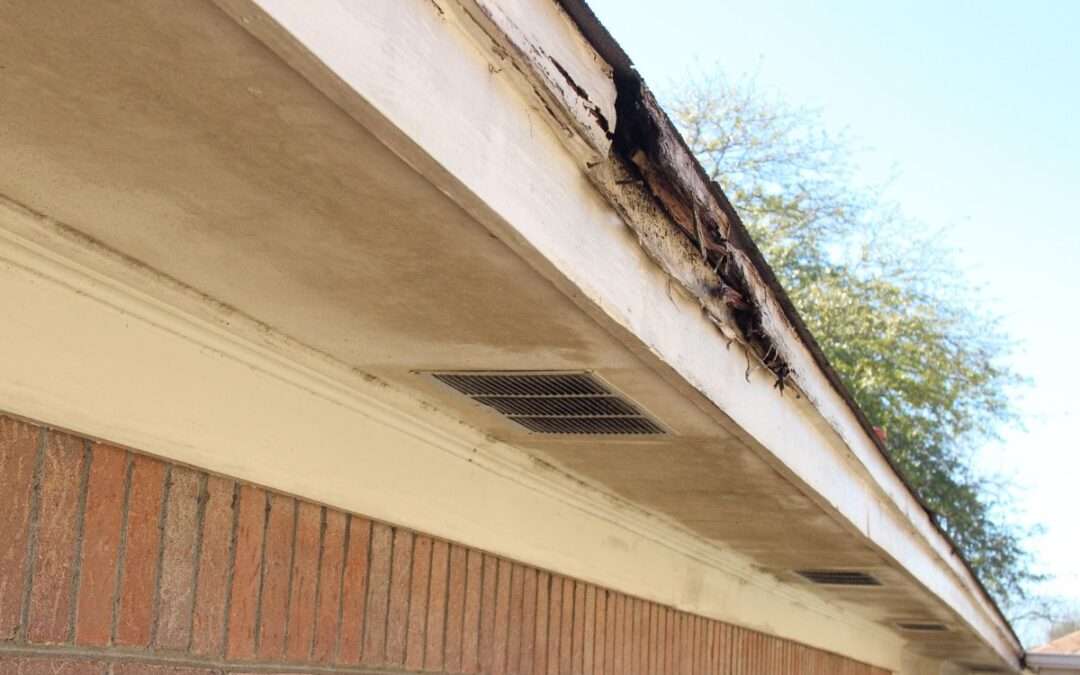 Why You Should Hire a Professional Roofer for Your Eave Wood Repairs