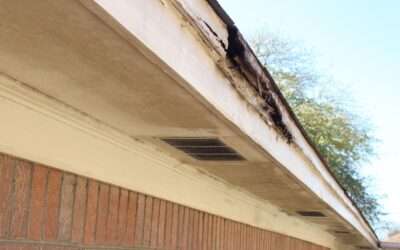 Why You Should Hire a Professional Roofer for Your Eave Wood Repairs