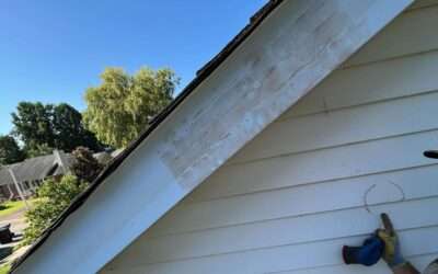 Protect Your Roof Warranty & Insurance After Damage