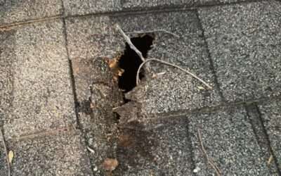 Why You Should Report Storm Damage to Your Insurance—Not Just Hail or Wind