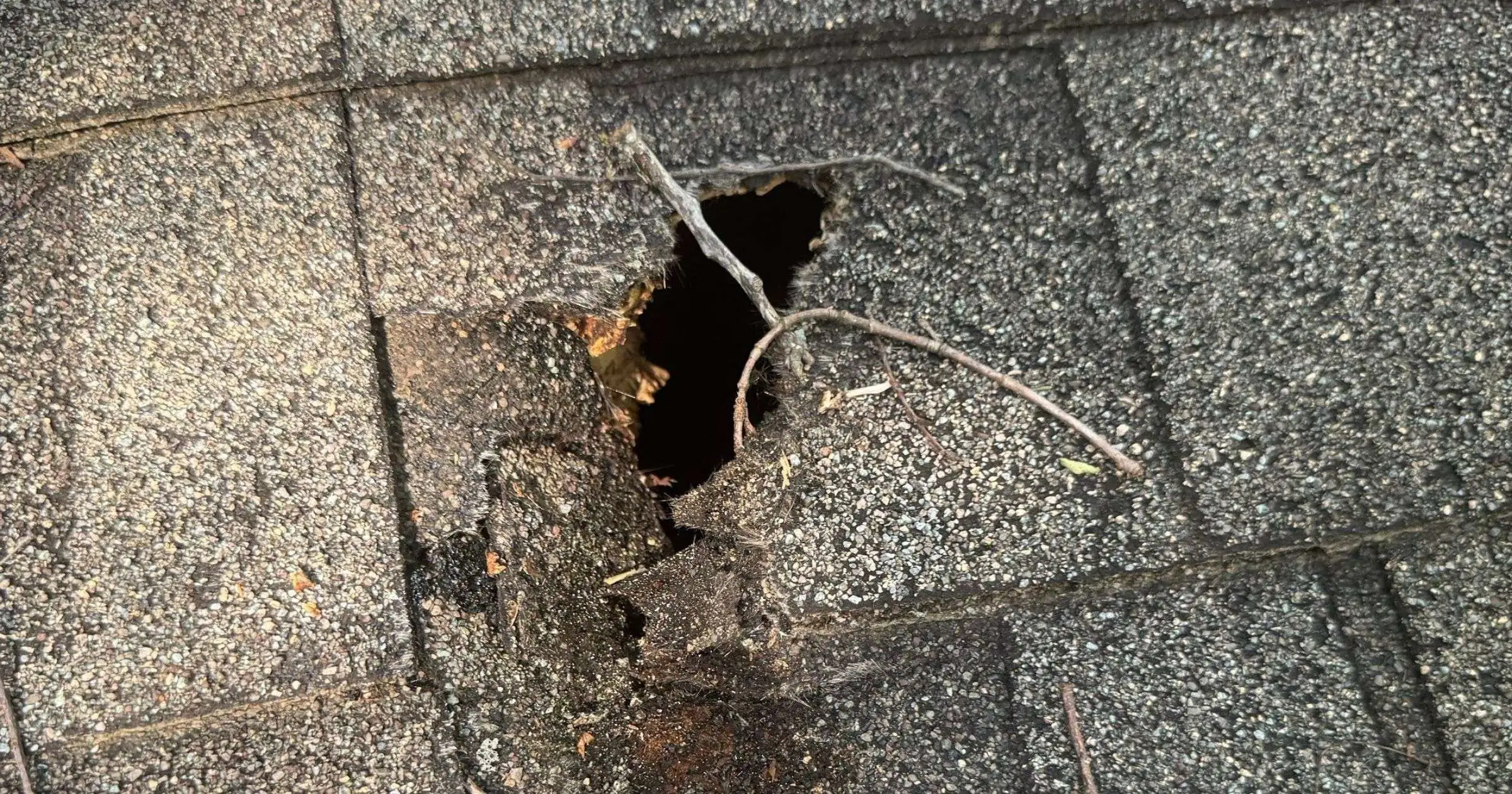 Roof Insurance Adjusters - Signs of Damage - Tree