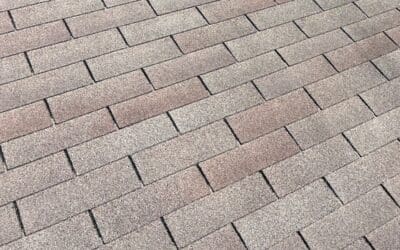 3-Tab vs. Architectural Shingles – A Homeowner’s Guide to Choosing the Right Roof