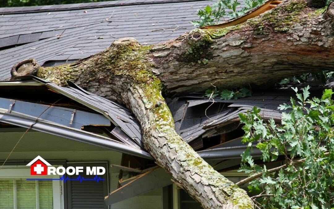 Understanding Your ACV Insurance Policy and Storm Damage