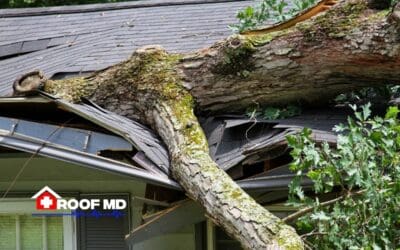 Understanding Your ACV Insurance Policy and Storm Damage