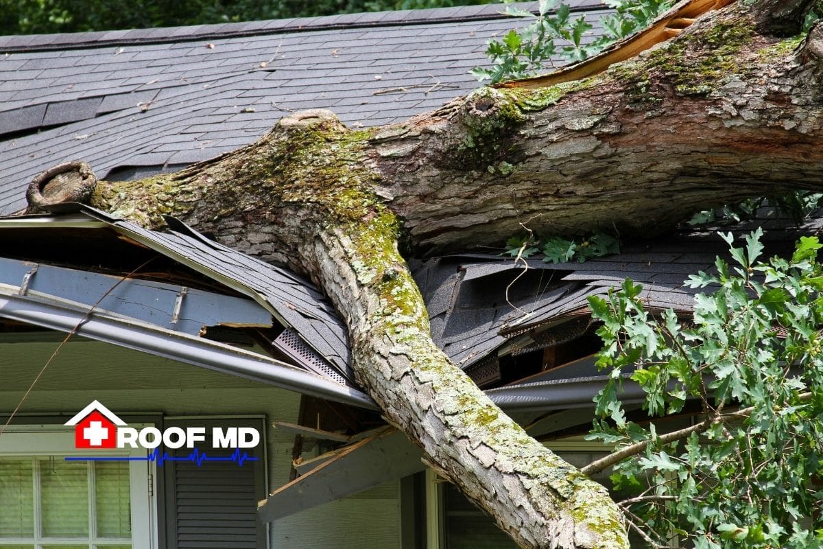 ACV Insurance Policy and Storm Damage