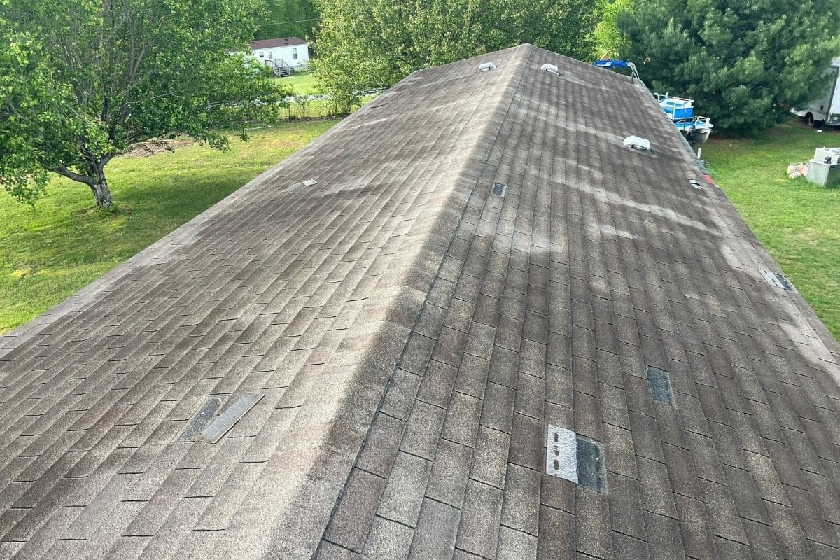Asphalt Shingle Lifespan - Dark Streaks