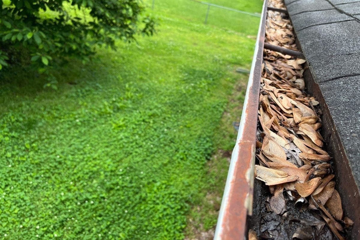 Clean Gutter - Fall Roof Maintenance Checklist