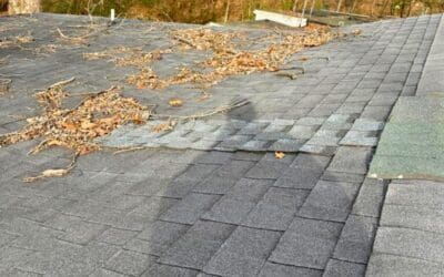 The Real Cost of Ignoring Roof Maintenance