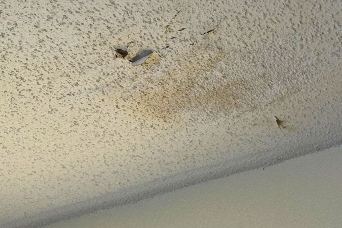 Ignoring Roof Maintenance - Interior Water Damage