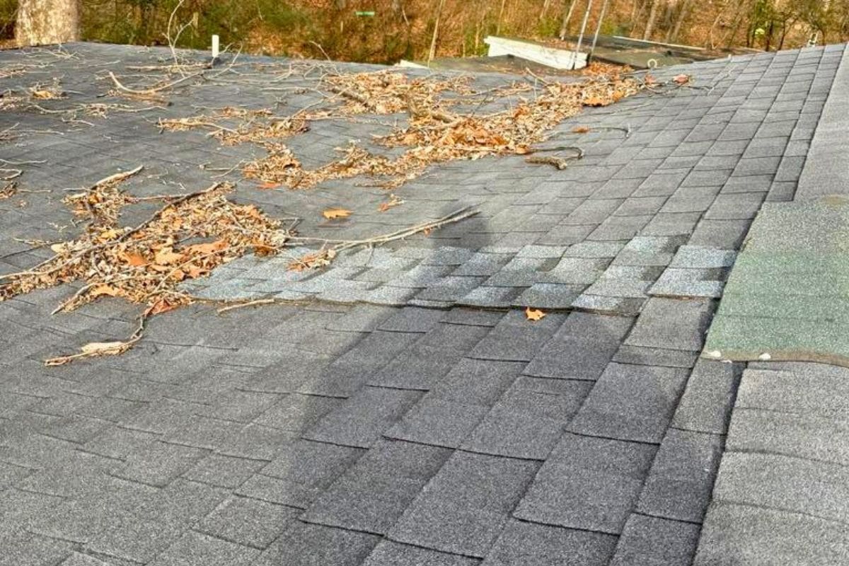 Ignoring Roof Maintenance